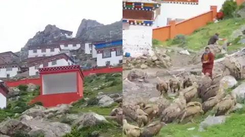 西藏天葬
